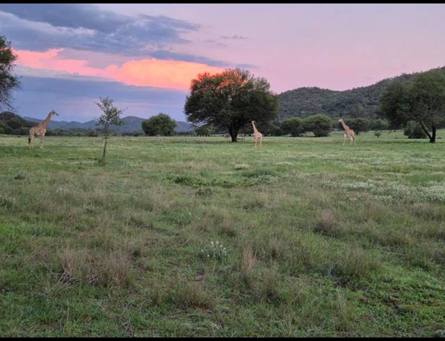 4 BEDROOM HOUSE FOR SALE IN VREDEFORT RURAL